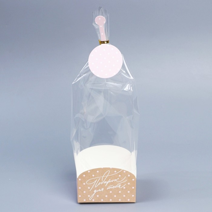 Пакет подарочный с коробкой, упаковка, «Подарок для тебя», 9 х 9 х 35 см