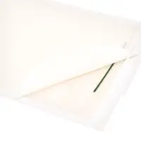 Клеевая ловушка Домик SAFEX, большая, с запахом арахиса, 1 шт.