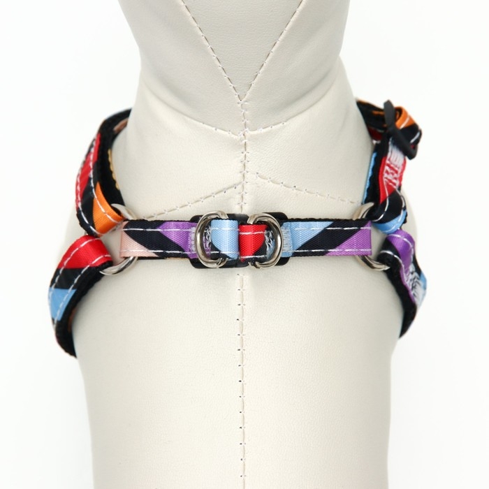 Комплект амуниции двухслойный, S, поводок 120х1 см,ОШ 24-38 ОГ 29-41 см, разноцветные полосы 96837 Комплект амуниции двухслойный, S, поводок 120х1 см,ОШ 24-38 ОГ 29-41 см, разноцветные полосы 96837