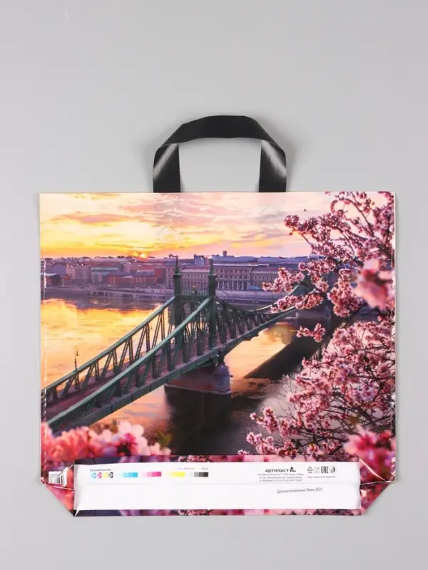 Пакет "Дунай", полиэтиленовый с петлевой ручкой, 38 х 34 + 3 см, 70 мкм