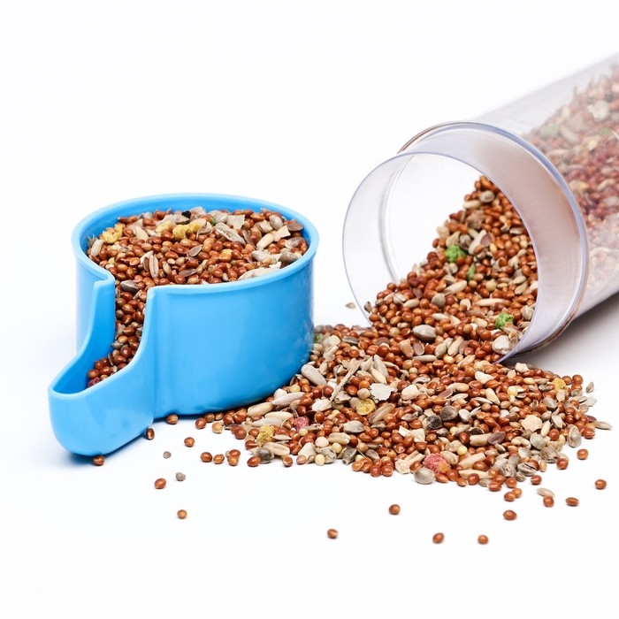 Поилка для птиц 6 х 13,5 см, 240 мл, синяя/белая Поилка для птиц 6 х 13,5 см, 240 мл, синяя/белая