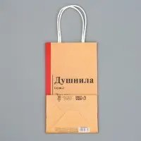 Пакет подарочный крафтовый, упаковка, «Душнила», 12 х 21 х 9 см