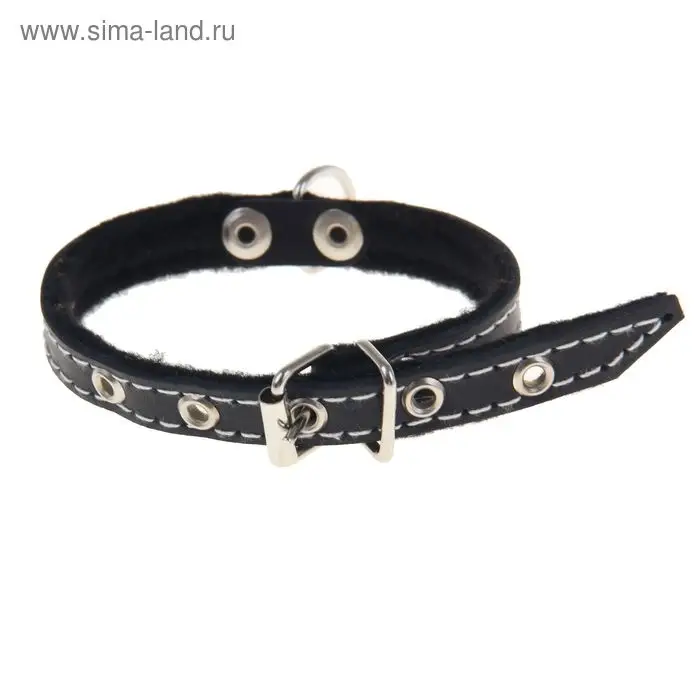 Ошейник тисненый на фетре, 30&times;1.2 см, кожа, цвет МИКС