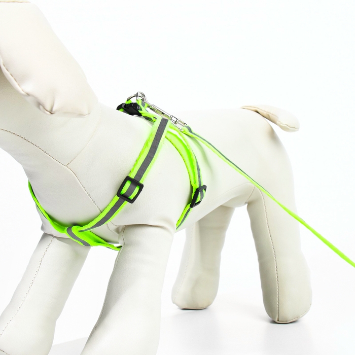 Комплект со светоотражающей лентой, ошейник 120 х 1 см, ОГ 26-40 см, зеленый Комплект со светоотражающей лентой, ошейник 120 х 1 см, ОГ 26-40 см, зеленый
