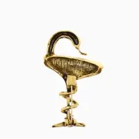 Брошь &laquo;Змея в геральдике&raquo;, знак, 4.4 см, цвет чернёное золото