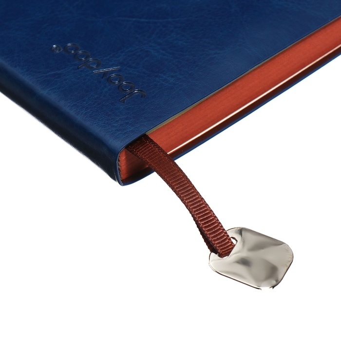 Органайзер на кольцах, А5, 116л, клетка, обл.кожзам, коричневый срез, Синий Органайзер на кольцах, А5, 116л, клетка, обл.кожзам, коричневый срез, Синий