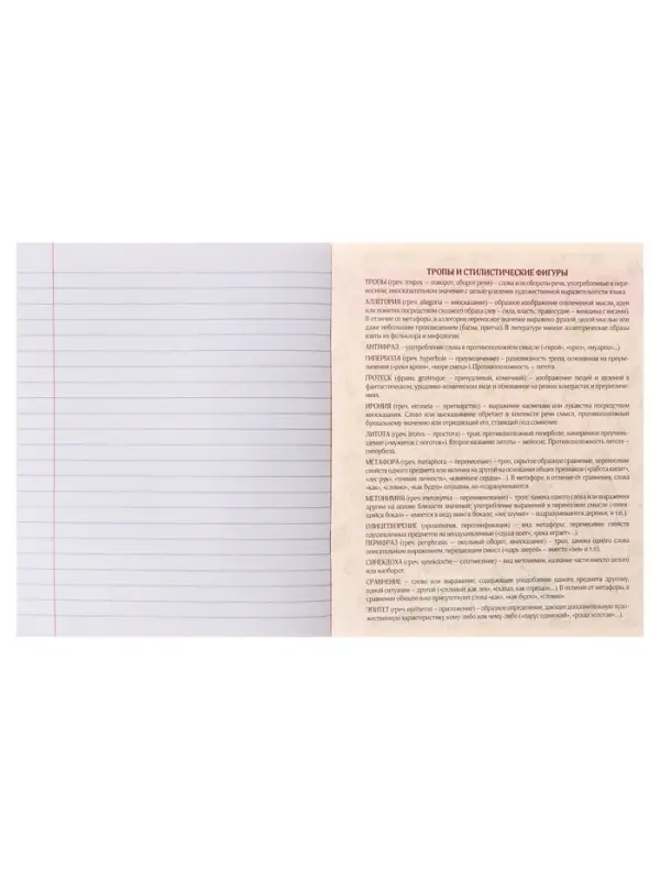 Тетрадь предметная 48 листов в линейку Calligrata &laquo;Журнал. Литература&raquo;, картонная обложка