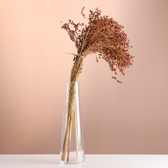 Набор сухоцветов "Сорго", банч 3-5 шт, длина 60 (+/- 6 см), натуральный