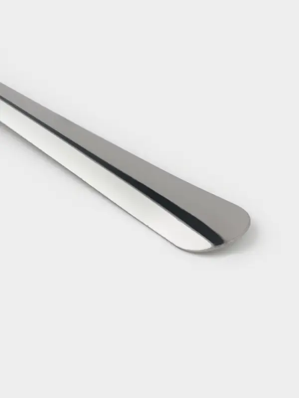 Набор столовых ложек Доляна &laquo;Оптима&raquo;, длина 19 см, набор 12 шт., нержавеющая сталь, серебристый