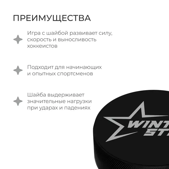 Шайба хоккейная Winter Star, взрослая, d=7.6 см