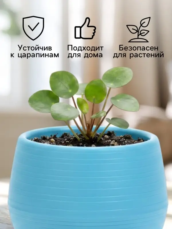 Горшок цветочный &laquo;Япония&raquo;, 125 мл, d=8 см, h=6.5 см, пластиковый, с поддоном, бирюзовый