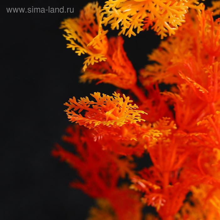 Растение искусственное с распылителем, 14 х 14 х 20 см Растение искусственное с распылителем, 14 х 14 х 20 см