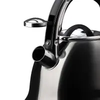 VETTA Чайник стальной 2,6л "Мари", индукция