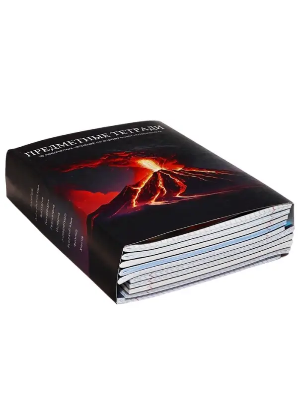 Набор предметных тетрадей Calligrata TOP &laquo;Школьный стиль&raquo;, 10 предметов, 48 листов, со справочным материалом, пластиковая обложка