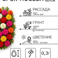 Семена цветов Цинния &laquo;Лилипут&raquo; смесь, 0.3 г, &laquo;Сембат&raquo;