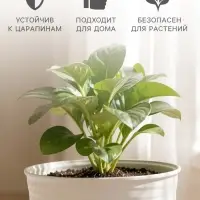 Горшок цветочный с поддоном Saffron, 5.4 л, d=22.4 см, h=20.5 см, пластиковый, бежевый