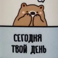 Бутылка для воды стеклянная &laquo;Хорошего дня&raquo;, 350 мл, в чехле