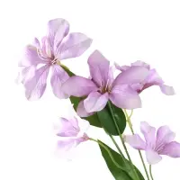 Цветы искусственные "Баухиния пёстрая" d-13 см 71 см, сиреневый