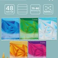 Тетрадь 48 листов в линейку Calligrata «Графика-2», обложка мелованный картон, блок №2, белизна 75% (серые листы), МИКС