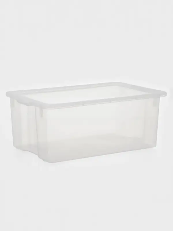 Контейнер для хранения Porter, 50 л, 66&times;42&times;26 см, с крышкой, прозрачный