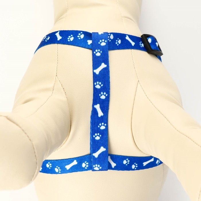 Комплект капроновый "Косточки и лапки", поводок 120 х 1,5 см, ОГ 30-44 см, синий