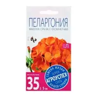 Набор семян комнатных Пеларгония "Oранж", 3 шт. Набор семян комнатных Пеларгония "Oранж", 3 шт.