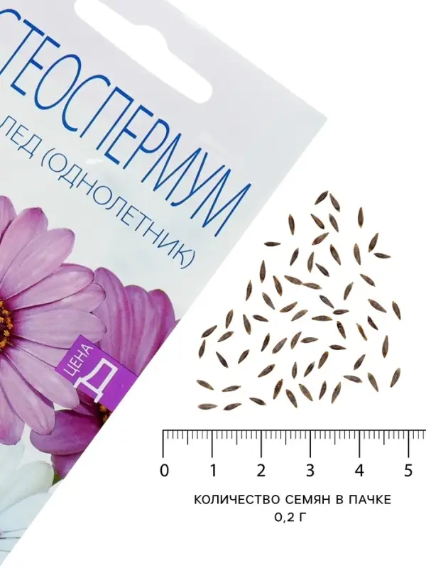 Семена цветов Остеоспермума &laquo;Небо и лед&raquo; смесь, 0.2 г