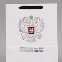 Пакет подарочный &laquo;Россия&raquo;, 25.5&times;30&times;9 см