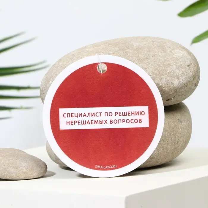 Ароматизатор в авто «Специалист», аромат: черри