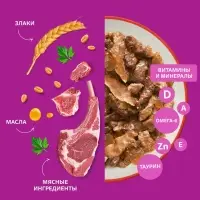 Влажный корм Whiskas для кошек, говядина/ягненок в желе, пауч, 75 г