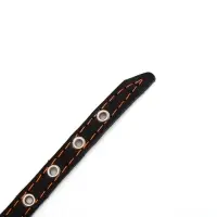 Ошейник кожаный однослойный с рифлеными люверсами, 35&times;1.2 см, ОШ 10-28 см, безразмерный, микс цветов