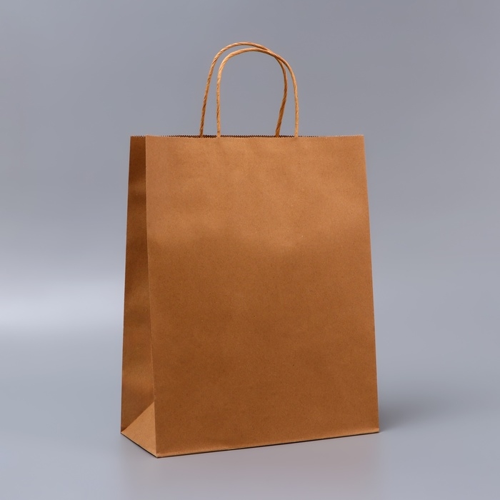 Пакет крафт без печати, круглая ручка, 26 х 12 х 33 см, 120 г Пакет крафт без печати, круглая ручка, 26 х 12 х 33 см, 120 г