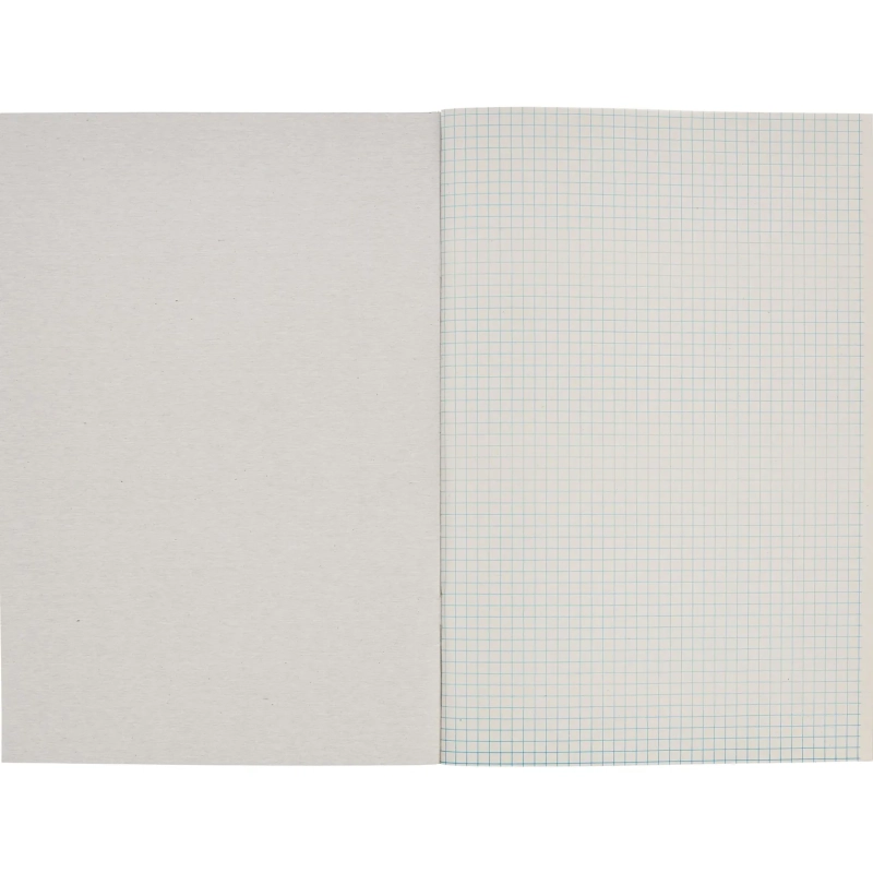 Тетрадь общая А4,48л,кл,скоб,офсет-2 Ice син/зел