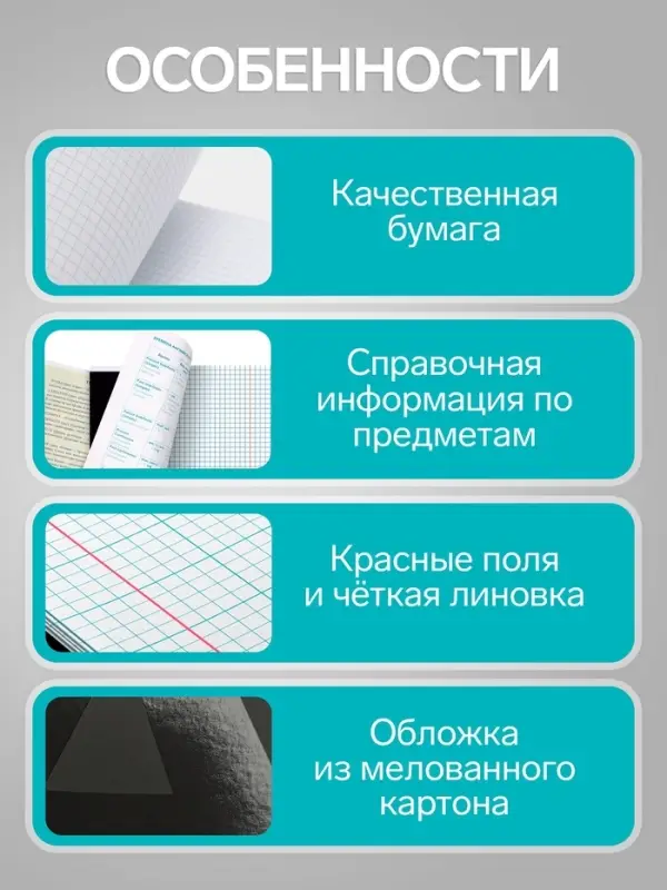Тетради предметные Calligrata TOP. BlackTone, 10 предметов, 48 листов, со справочным материалом, обложка из мелованного картона
