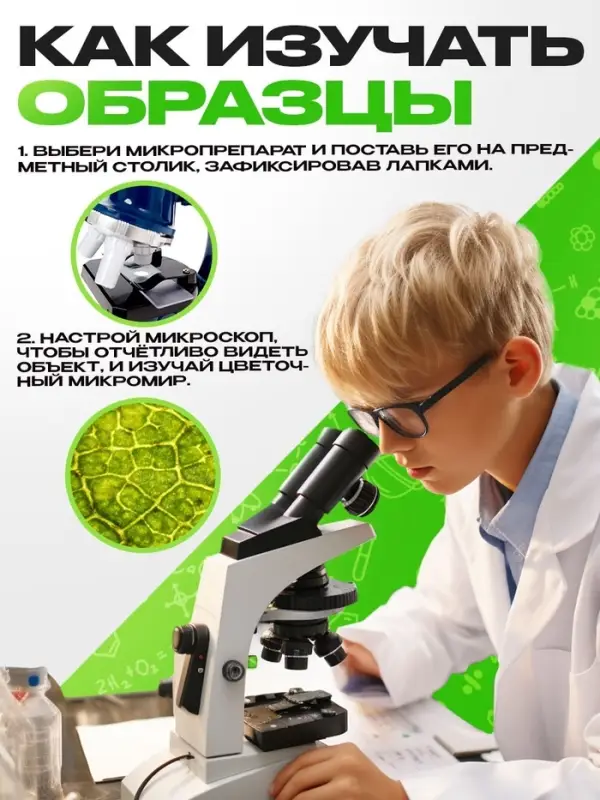 Набор для опытов &laquo;Набор микропрепаратов&raquo;, цветы