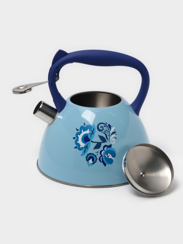 Чайник со свистком из нержавеющей стали Доляна «Свиристель», 3 л, цвет голубой