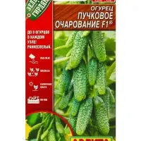Набор семян Огурец раннеспелый, самоопыляемый, 3 пакета