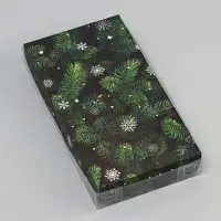 Коробка для печенья, «Сказочного Нового года!», 10.5×20×3 см, Новый год