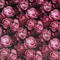 Бумага упаковочная, глянцевая &laquo;Пионы&raquo; 60&times;90 см