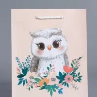 Пакет подарочный "Мудрая совушка" ламинированный 18 х 22,3 х 10 см