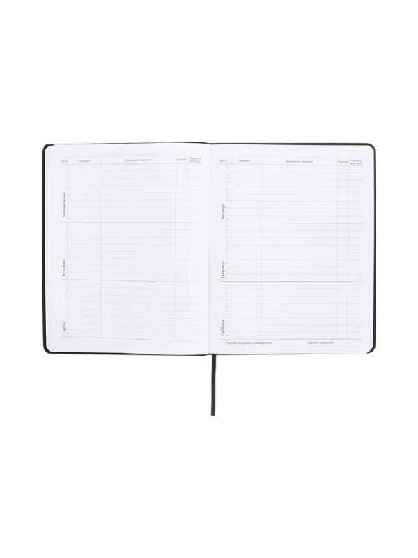 Дневник школьный 1-11 класс, deVENTE &laquo;Сначала не понял&raquo;, искусственная кожа, шелкография