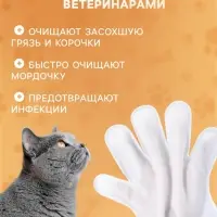 Влажные перчатки-салфетки для ежедневного ухода, 6 шт.