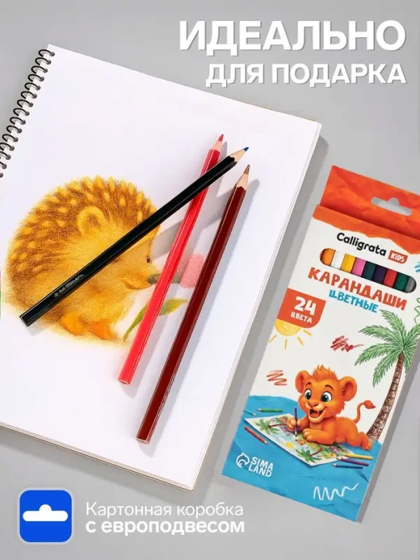 Карандаши Calligrata, цветные, 24 цвета, эконом, шестигранные, пластиковые