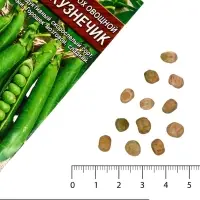 Семена Горох овощной &laquo;Кузнечик&raquo;,10 г, &laquo;Аэлита&raquo;