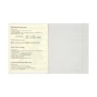 Предметная тетрадь по русскому языку Calligrata &laquo;Животные мемы&raquo;, 36 листов, в линейку, со справочным материалом, обложка из мелованной бумаги