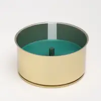 Ароматическая свеча уличная антимоскитная, 10&times;4.5 см, 120 г, 6 ч, хвоя, зелёный