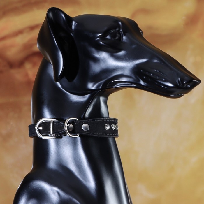 Ошейник  Ошейник "Бархат и стразы", 31 х 1,3/2 см, ОШ 22-28 см, чёрный