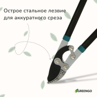 Сучкорез, профессиональный, 31" (79 см), МИКС, Greengo