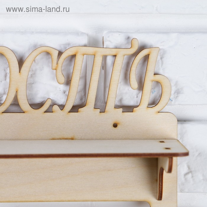 Медальница с полкой  Медальница с полкой "Наша Гордость", 45х16см