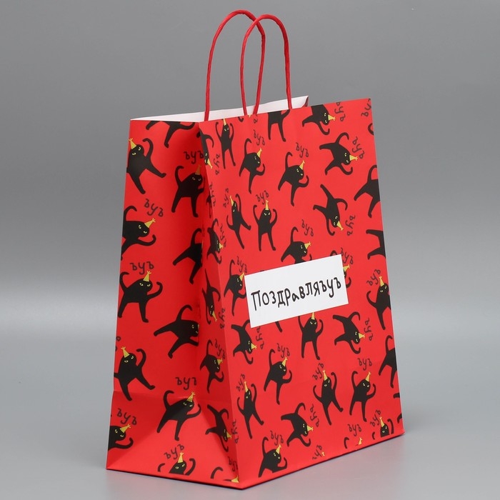 Пакет подарочный крафтовый, упаковка, «Поздравляю», 28 х 32 х 15 см Пакет подарочный крафтовый, упаковка, «Поздравляю», 28 х 32 х 15 см